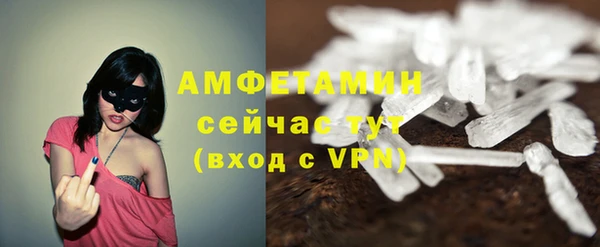 молекула духа Балахна