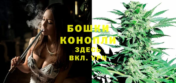 молекула духа Балахна