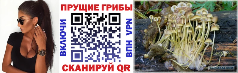 Галлюциногенные грибы MAGIC MUSHROOMS  хочу   MEGA рабочий сайт  Верхняя Тура 